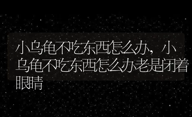 小乌龟不吃东西怎么办,小乌龟不吃东西怎么办老是闭着眼睛 | 养殖科普