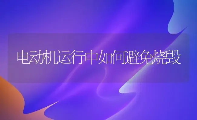 电动机运行中如何避免烧毁 | 养殖技术大全