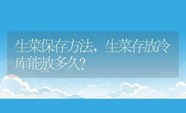 生菜保存方法,生菜存放冷库能放多久？ | 养殖科普