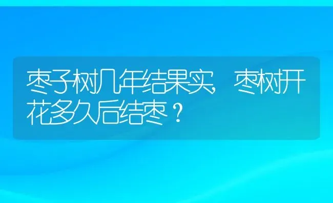 枣子树几年结果实,枣树开花多久后结枣？ | 养殖科普