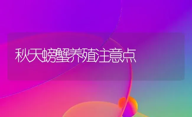 秋天螃蟹养殖注意点 | 养殖知识