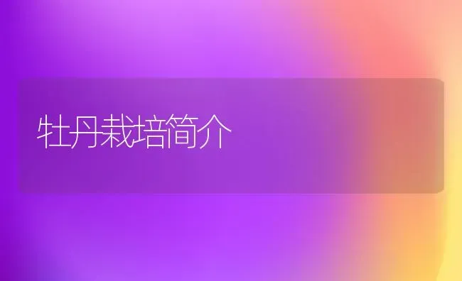 牡丹栽培简介 | 养殖技术大全