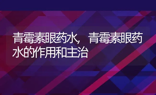 青霉素眼药水,青霉素眼药水的作用和主治 | 养殖科普