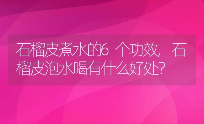 石榴皮煮水的6个功效,石榴皮泡水喝有什么好处？ | 养殖科普