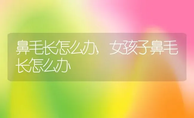 鼻毛长怎么办,女孩子鼻毛长怎么办 | 养殖科普