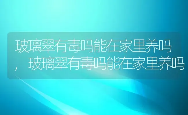 玻璃翠有毒吗能在家里养吗,玻璃翠有毒吗能在家里养吗 | 养殖科普