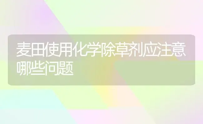 麦田使用化学除草剂应注意哪些问题 | 养殖技术大全