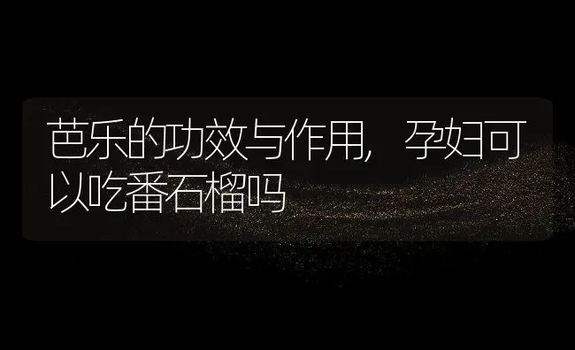芭乐的功效与作用,孕妇可以吃番石榴吗 | 养殖学堂