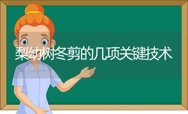 梨幼树冬剪的几项关键技术 | 养殖知识