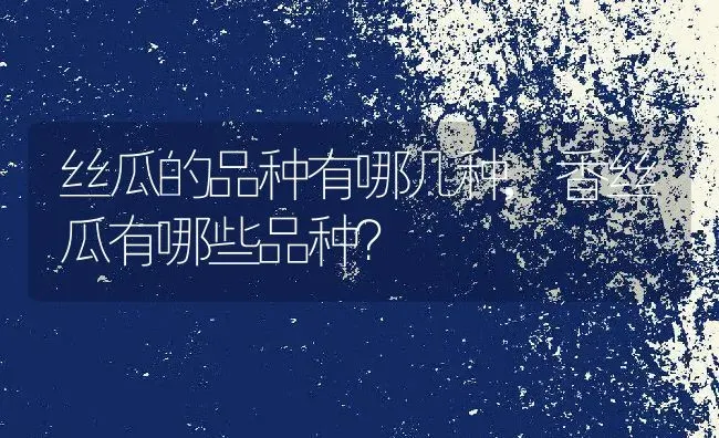 盆栽玫瑰花怎么养才不会枯萎,一束粉玫瑰花怎么养才不会枯萎？ | 养殖科普