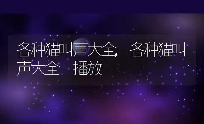 各种猫叫声大全,各种猫叫声大全 播放 | 养殖科普