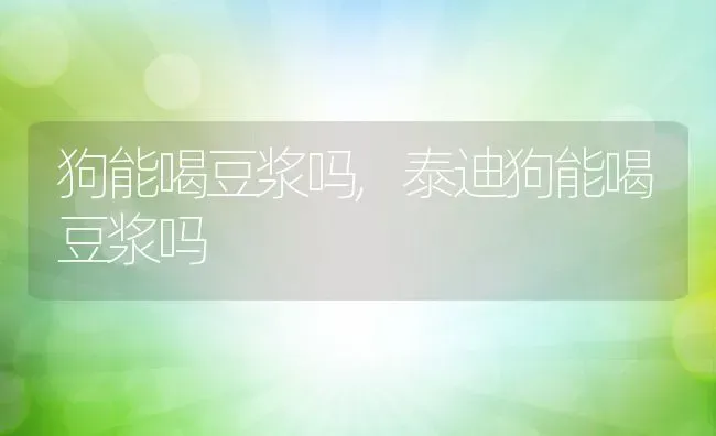 狗能喝豆浆吗,泰迪狗能喝豆浆吗 | 养殖资料