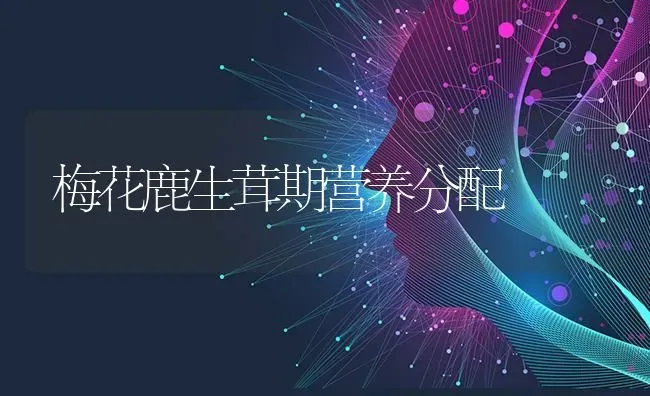 梅花鹿生茸期营养分配 | 养殖技术大全