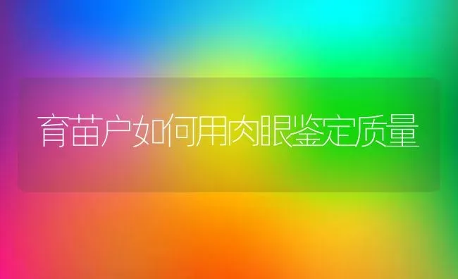 育苗户如何用肉眼鉴定质量 | 养殖技术大全