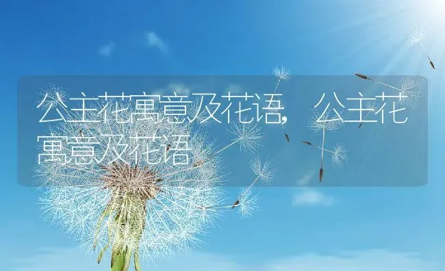 公主花寓意及花语,公主花寓意及花语 | 养殖科普