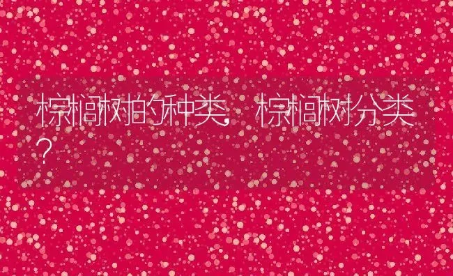 棕榈树的种类,棕榈树分类？ | 养殖科普