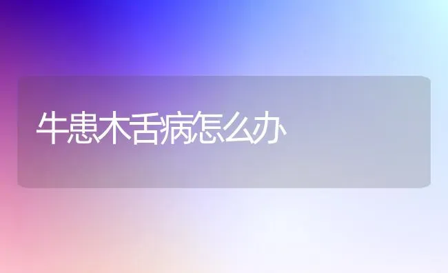 牛患木舌病怎么办 | 养殖技术大全