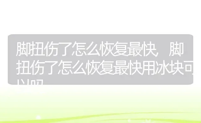 脚扭伤了怎么恢复最快,脚扭伤了怎么恢复最快用冰块可以吗 | 养殖科普