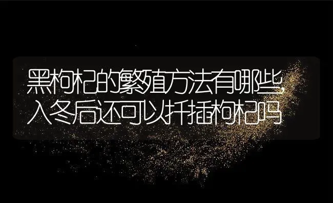 黑枸杞的繁殖方法有哪些,入冬后还可以扦插枸杞吗 | 养殖学堂