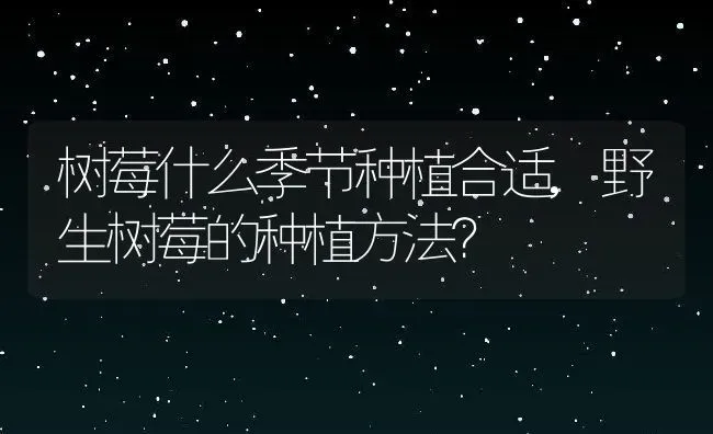 树莓什么季节种植合适,野生树莓的种植方法？ | 养殖科普