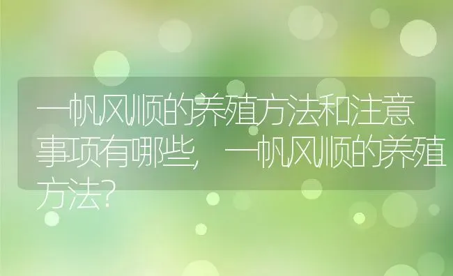 一帆风顺的养殖方法和注意事项有哪些,一帆风顺的养殖方法？ | 养殖科普