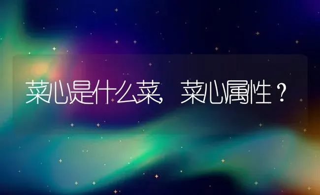 菜心是什么菜,菜心属性？ | 养殖科普