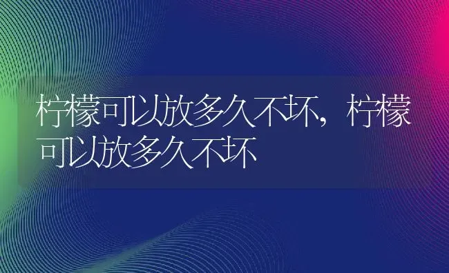 柠檬可以放多久不坏,柠檬可以放多久不坏 | 养殖科普