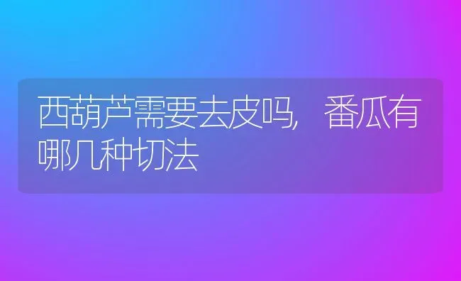 西葫芦需要去皮吗,番瓜有哪几种切法 | 养殖学堂