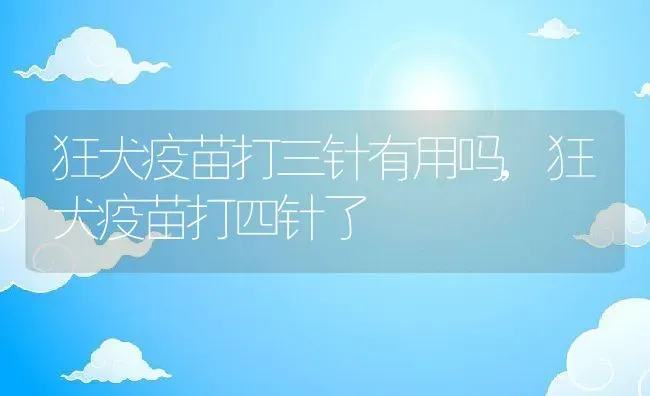 狂犬疫苗打三针有用吗,狂犬疫苗打四针了 | 养殖资料