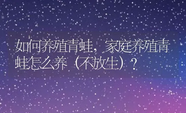 如何养殖青蛙,家庭养殖青蛙怎么养（不放生）？ | 养殖科普