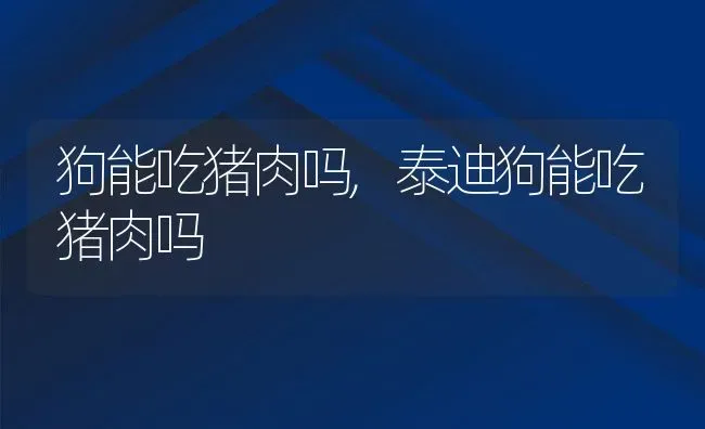 狗能吃猪肉吗,泰迪狗能吃猪肉吗 | 养殖资料