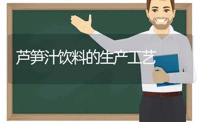 芦笋汁饮料的生产工艺 | 养殖技术大全