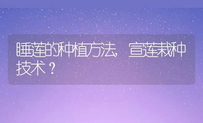 睡莲的种植方法,宣莲栽种技术？ | 养殖科普