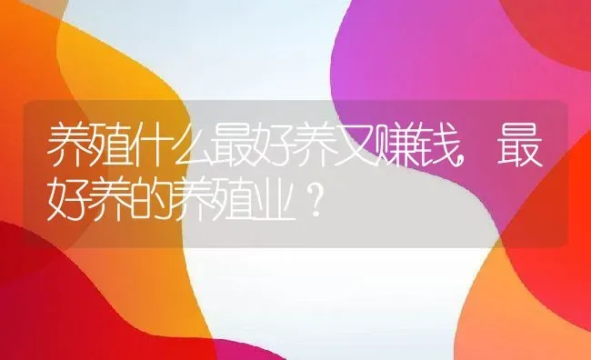 养殖什么最好养又赚钱,最好养的养殖业？ | 养殖学堂