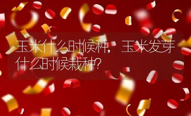 玉米什么时候种,玉米发芽什么时候栽种？ | 养殖科普