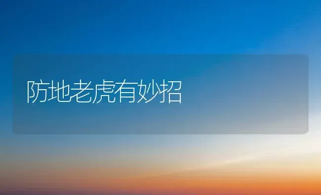 防地老虎有妙招 | 养殖知识