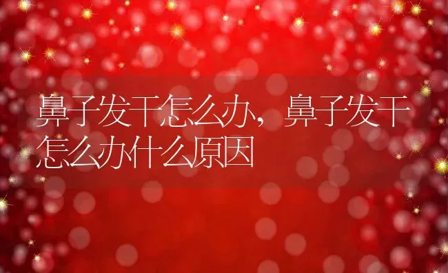 鼻子发干怎么办,鼻子发干怎么办什么原因 | 养殖科普
