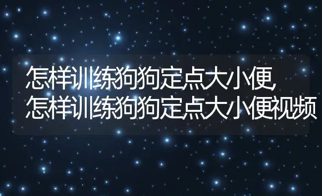 怎样训练狗狗定点大小便,怎样训练狗狗定点大小便视频 | 养殖科普