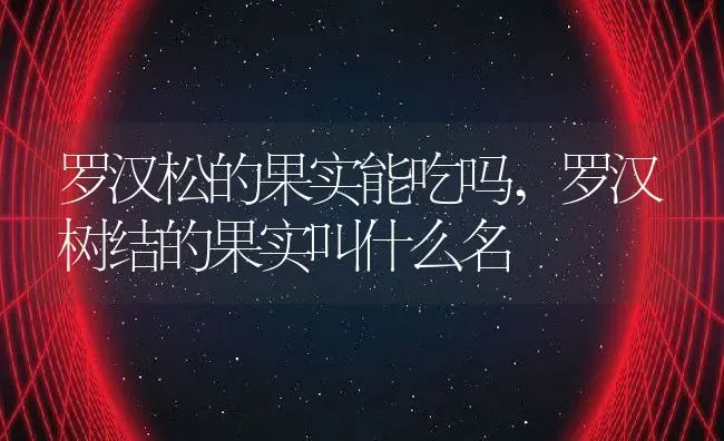 罗汉松的果实能吃吗,罗汉树结的果实叫什么名 | 养殖学堂