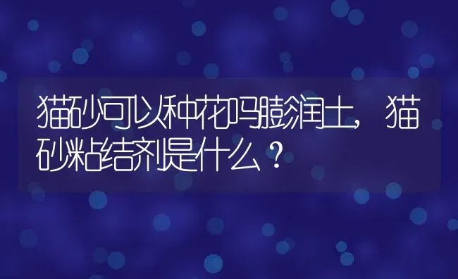 猫砂可以种花吗膨润土,猫砂粘结剂是什么？ | 养殖科普