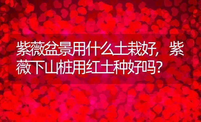 紫薇盆景用什么土栽好,紫薇下山桩用红土种好吗？ | 养殖科普