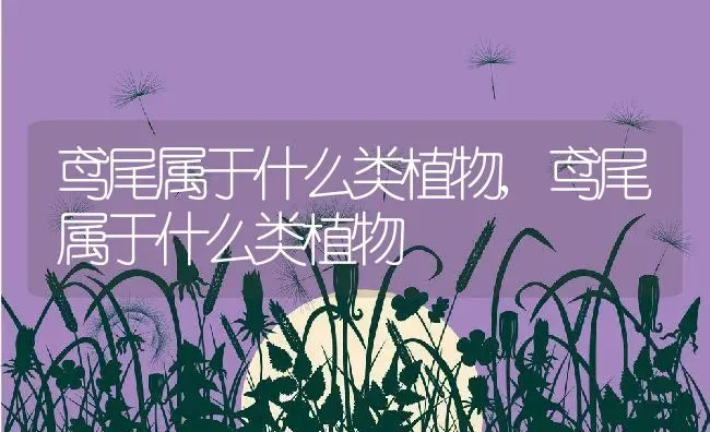 鸢尾属于什么类植物,鸢尾属于什么类植物 | 养殖科普