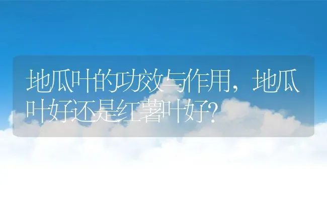 地瓜叶的功效与作用,地瓜叶好还是红薯叶好？ | 养殖科普