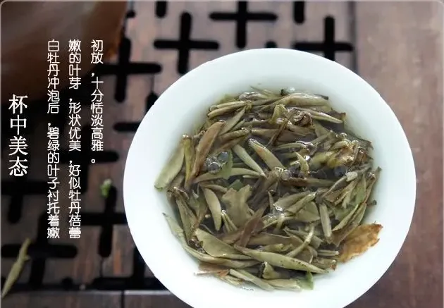 白牡丹茶的功效与作用,三级白牡丹茶叶好吗？