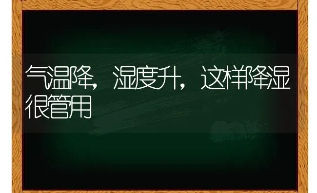 气温降,湿度升,这样降湿很管用 | 养殖技术大全