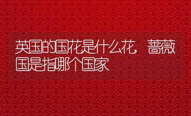 英国的国花是什么花,蔷薇国是指哪个国家 | 养殖学堂