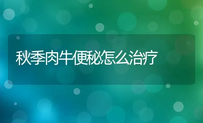 秋季肉牛便秘怎么治疗 | 养殖技术大全