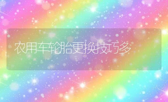 农用车轮胎更换技巧多 | 养殖技术大全