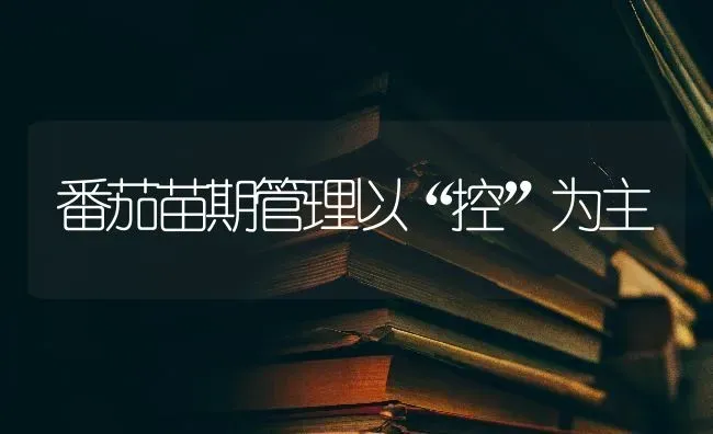 番茄苗期管理以“控”为主 | 养殖知识