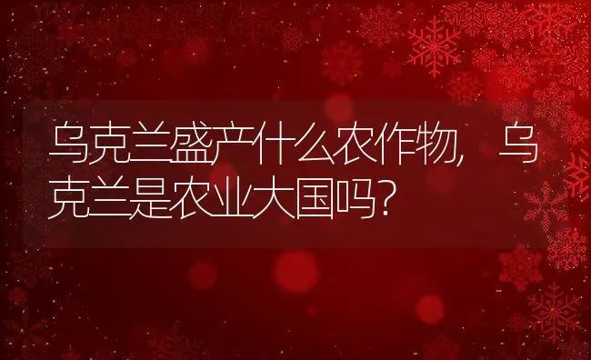 乌克兰盛产什么农作物,乌克兰是农业大国吗？ | 养殖科普